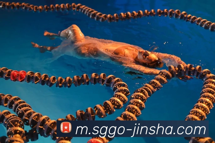 金沙国际平台生态图